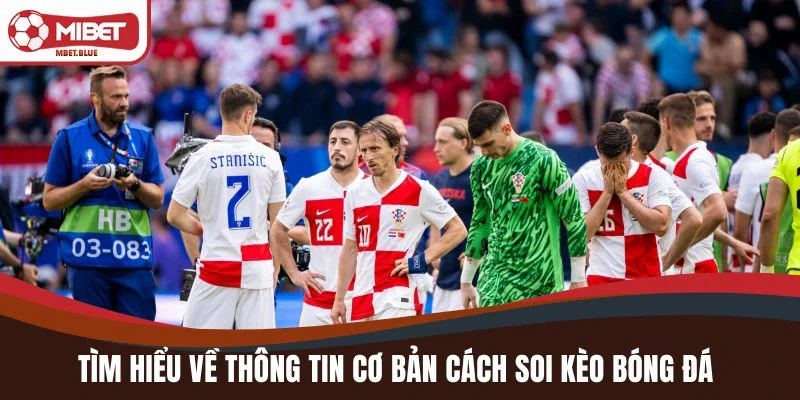 Tìm hiểu về thông tin cơ bản cách soi kèo bóng đá