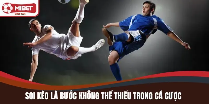 Soi kèo là một bước không thể thiếu trong quá trình cá cược