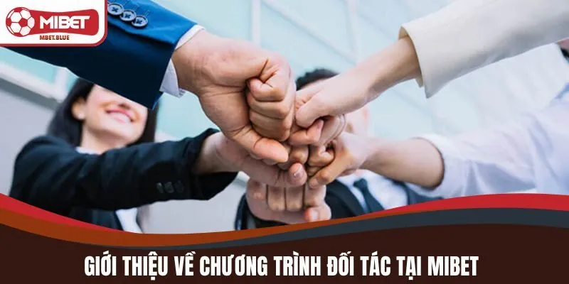 Giới thiệu về chương trình đối tác tại MIBET