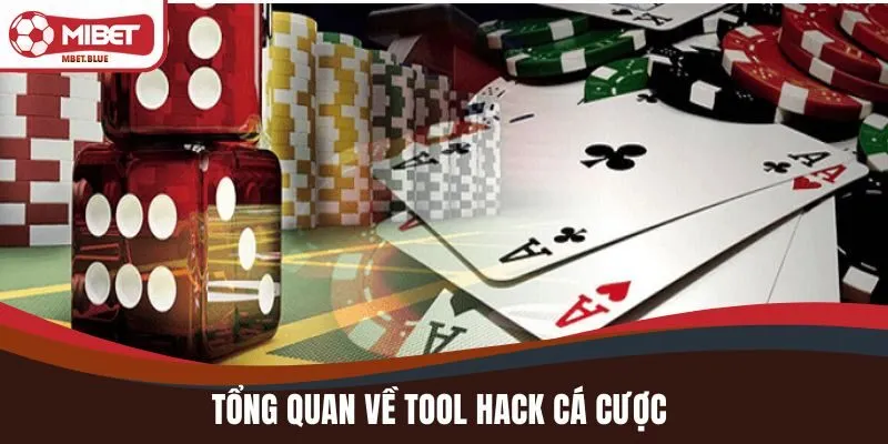 Tổng quan về tool hack cá cược