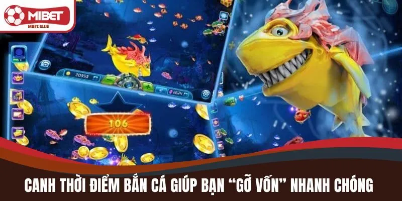 Không nên cố gắng bắn cá quá khỏe