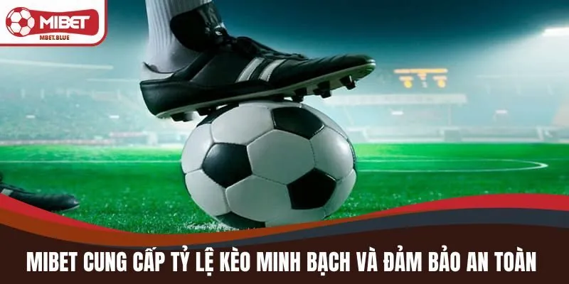 MIBET cung cấp tỷ lệ kèo minh bạch, ổn định và đảm bảo an toàn