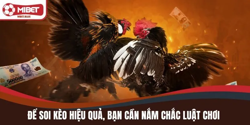 Để soi kèo hiệu quả bạn cần nắm chắc luật chơi cơ bản bạn cần nắm chắc luật chơi