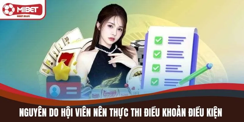 Nguyên do hội viên nên thực thi điều khoản điều kiện 