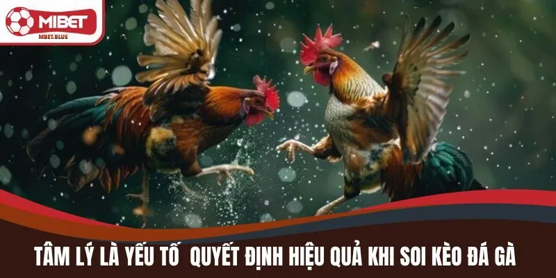 Tâm lý là yếu tố quyết định hiệu quả khi soi kèo đá gà