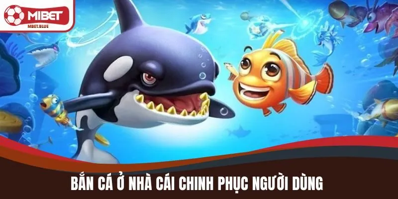 Bắn cá ở nhà cái chinh phục người dùng